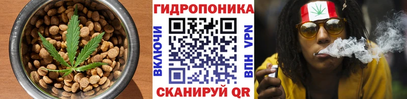 Canna-Cookies конопля  Тулун 