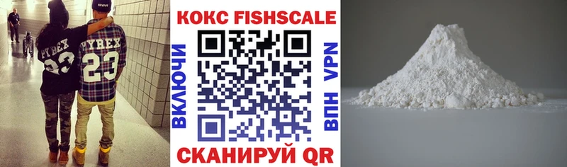 купить наркоту  omg ONION  Кокаин Fish Scale  Тулун 