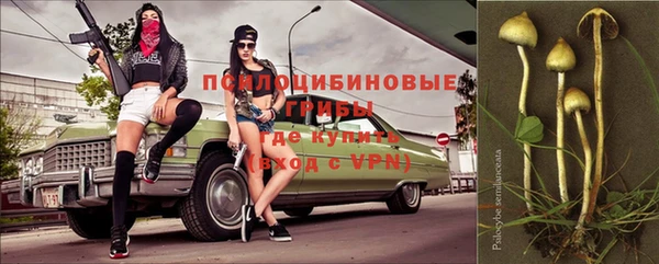 прущая мука Абаза