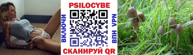 Галлюциногенные грибы MAGIC MUSHROOMS  Тулун 