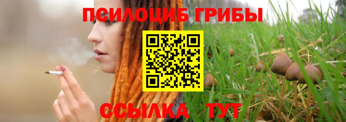 Галлюциногенные грибы мицелий  наркошоп  Тулун  Вход с VPN  Псилоцибиновые грибы мицелий 